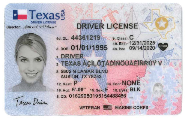 Learner's Permit License